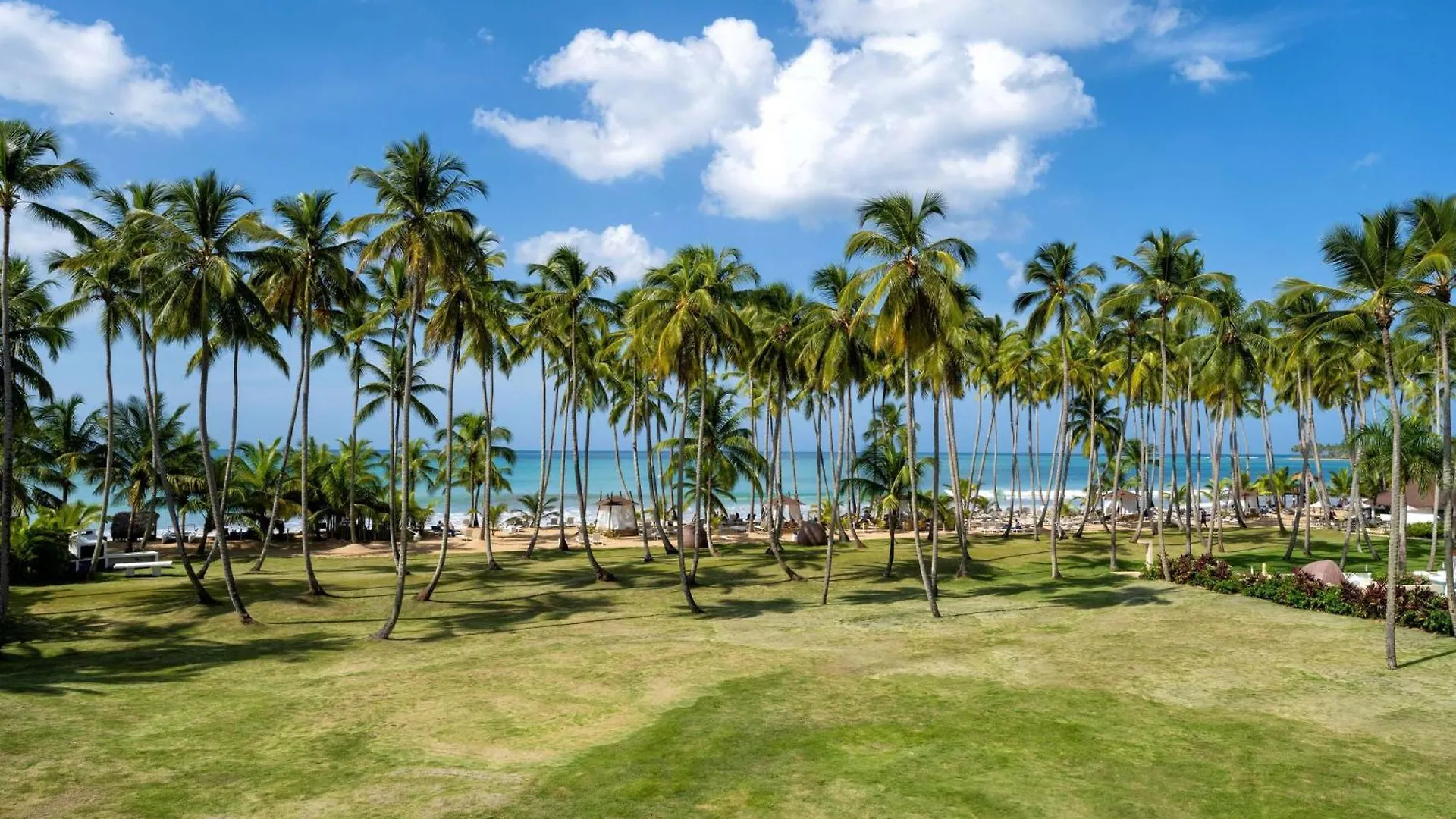 ***** Rezort Viva V Samana By Wyndham, A Trademark Adults All Inclusive Las Terrenas Dominikánská republika