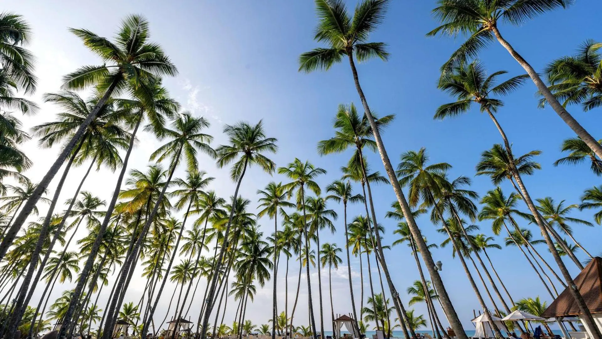 ***** Rezort Viva V Samana By Wyndham, A Trademark Adults All Inclusive Las Terrenas Dominikánská republika