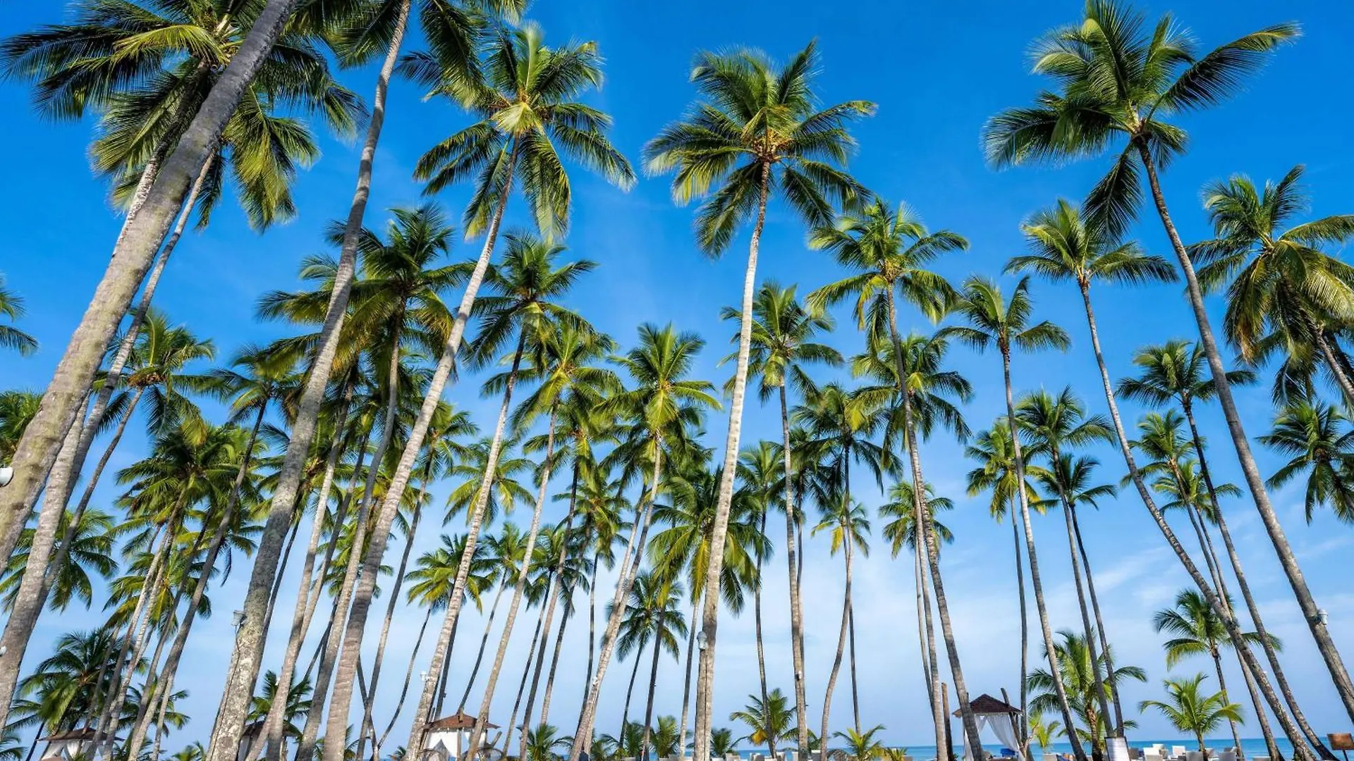 Viva V Samana By Wyndham, A Trademark Adults All Inclusive Las Terrenas 5*,  Dominikana